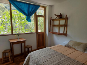 Backpackers-balcones-river-lodge
